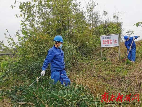 国网南充供电公司 多措并举防森林火灾，有效治理保电网安全